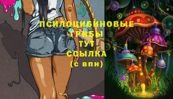 МДМА Бородино