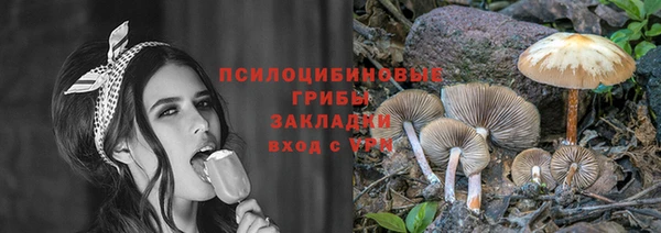 дмт Бронницы