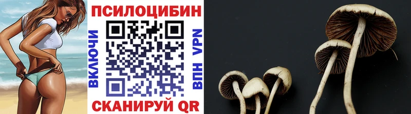хочу наркоту  Голицыно  Галлюциногенные грибы мухоморы 